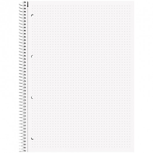 Коледж-блок А4 Premium, крапка, 80 арк., Zenart Lion Brunnen — фото 4