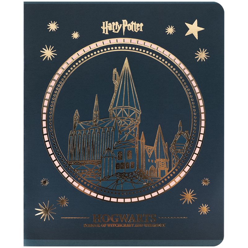 Зошит 48 арк., кл., фольга + УФ лак, Harry Potter (HP25-259) Kite — фото 23