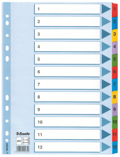 Разделитель страниц цифровой Mylar 1-12, картон. Esselte - фото 3