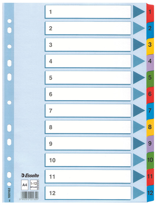 Разделитель страниц цифровой Mylar 1-12, картон. Esselte - фото 3