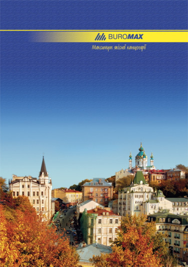 Книга учета 96л. твердый переплет, офсет, лин., ассорт. BuroMax - фото 3