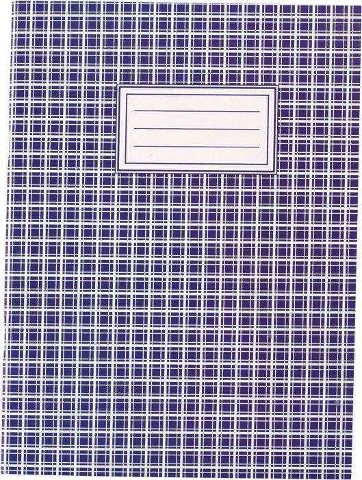 Книга обліку м'яка обкладинка, 48арк., клітинка BuroMax — фото 5
